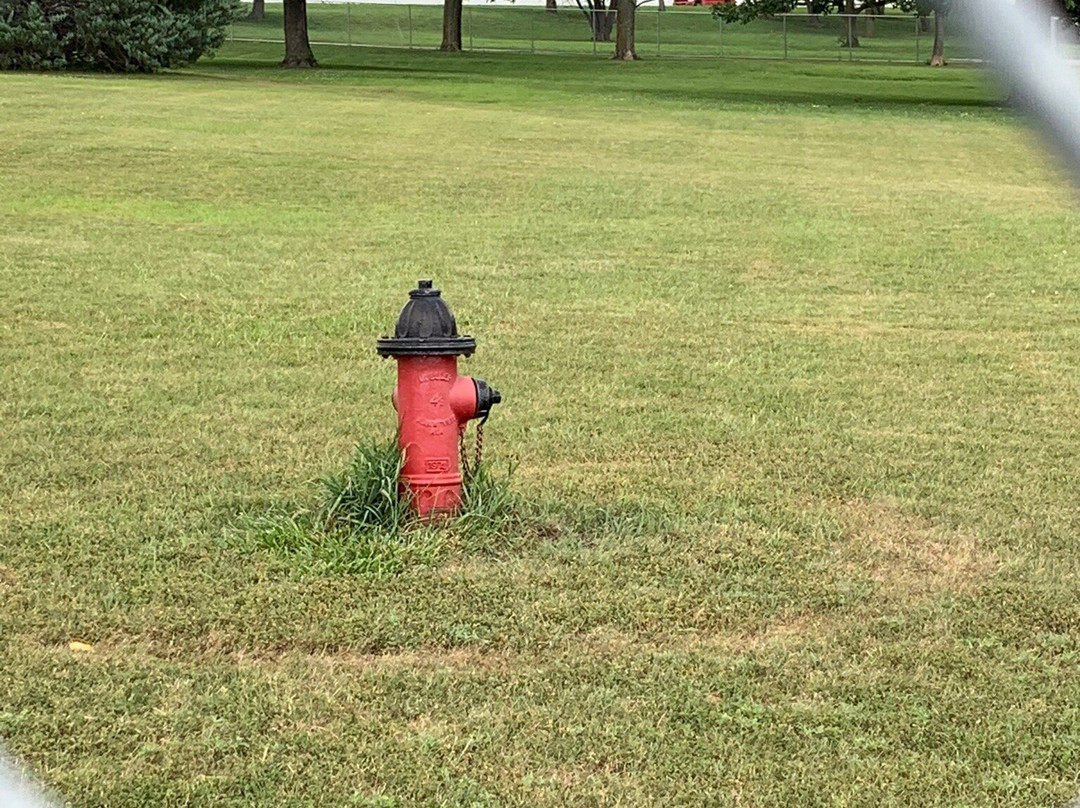 Best Friends Dog Park-Concordia必去景点