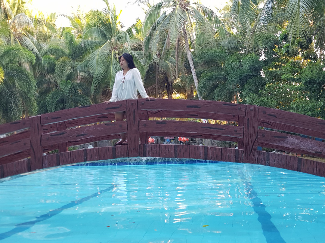 Villa Soledad Beach Resort主图