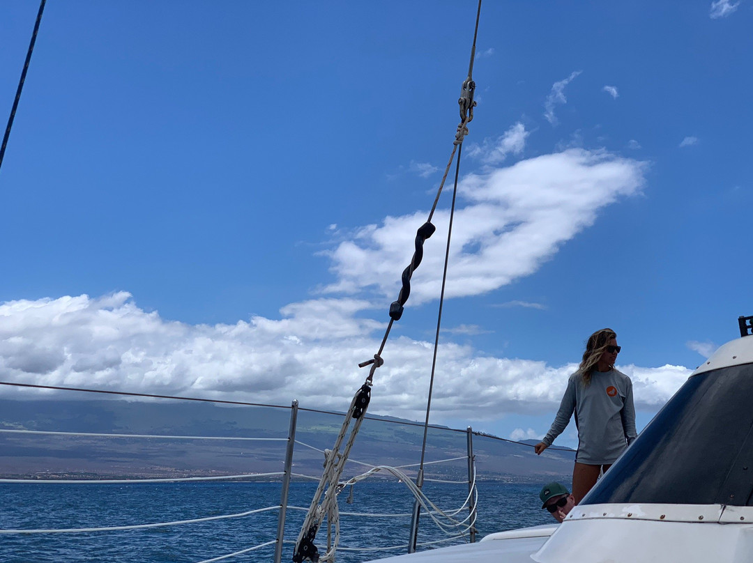 Sail Maui Private Tour-玛阿拉也亚必去景点