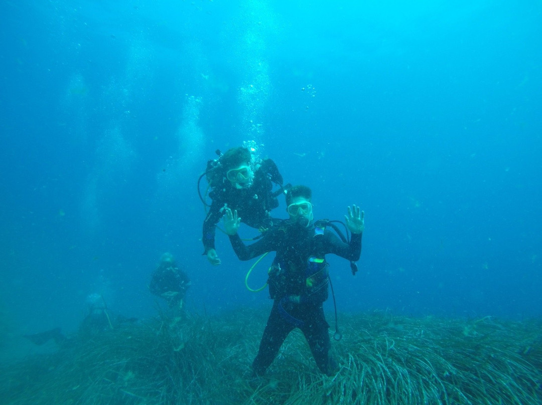 Unica Diving Elba景点图片