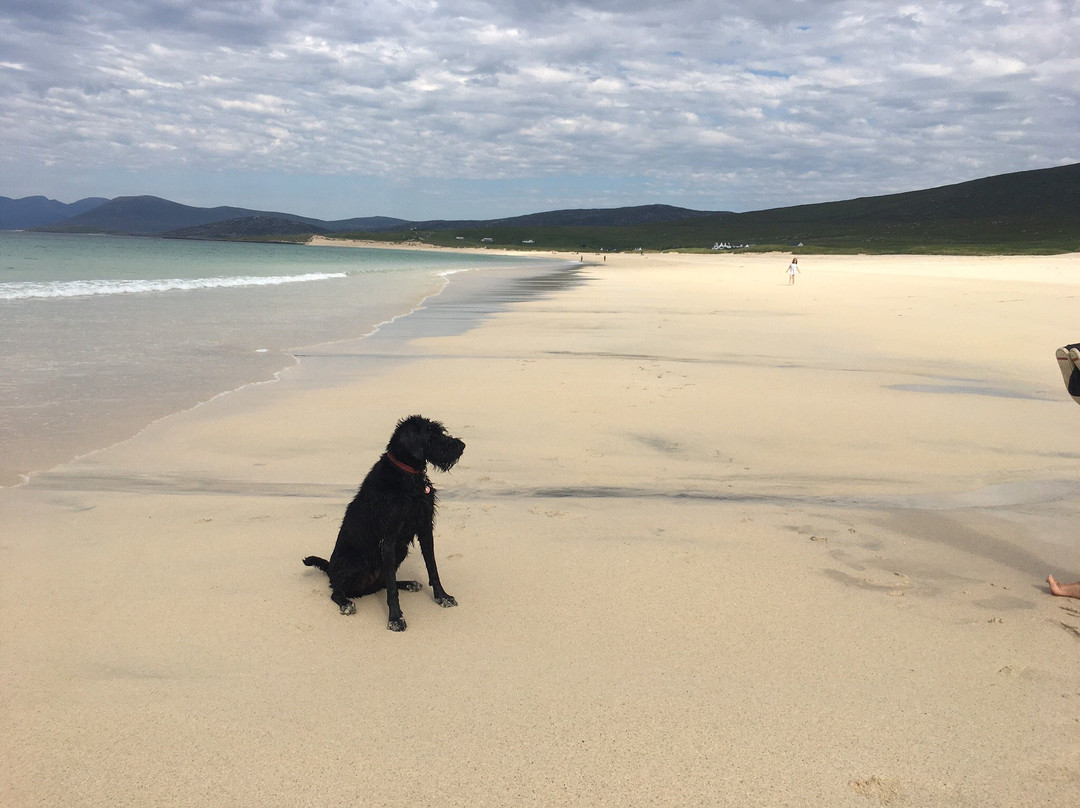 Scarista Beach-Isle of Harris必去景点