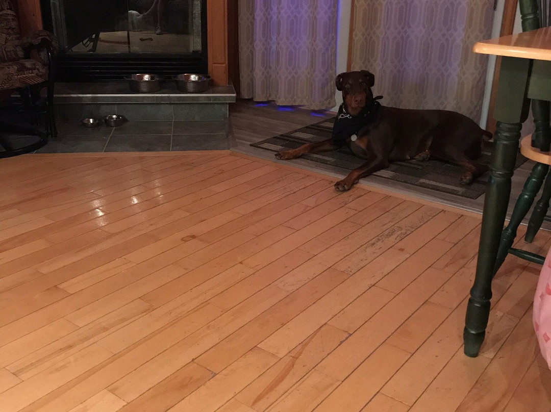 Hotel Motel Fleur de Lys主图