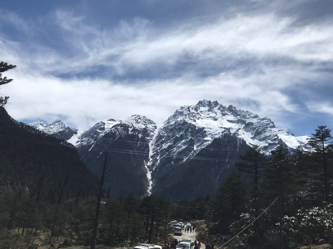 Shingba Rhododendron Sanctuary-甘托克必去景点