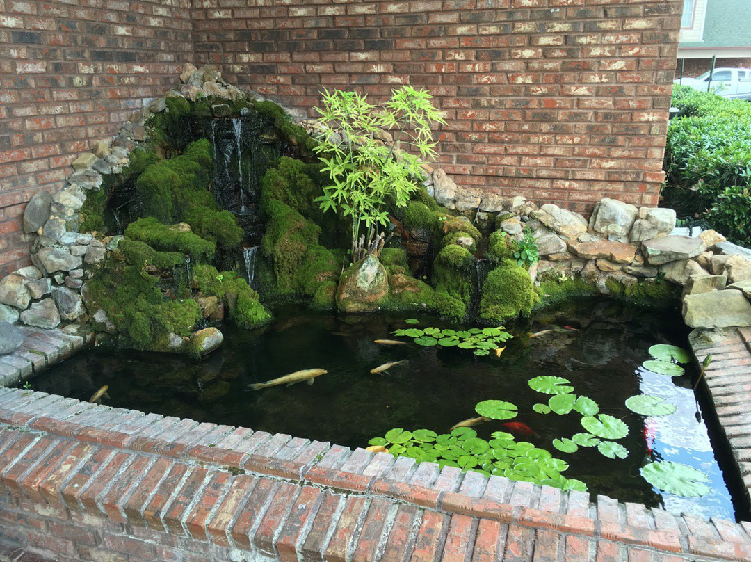 Best Western Plus Bessemer Hotel & Suites主图