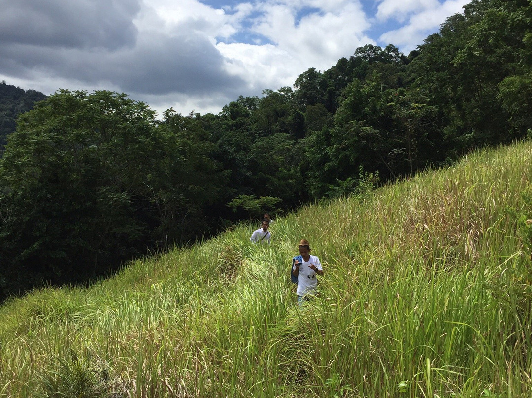 Hungayono Forest景点图片