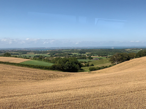 The Downs Breezer-赖德必去景点