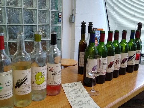 Murielle Winery-克利尔沃特必去景点