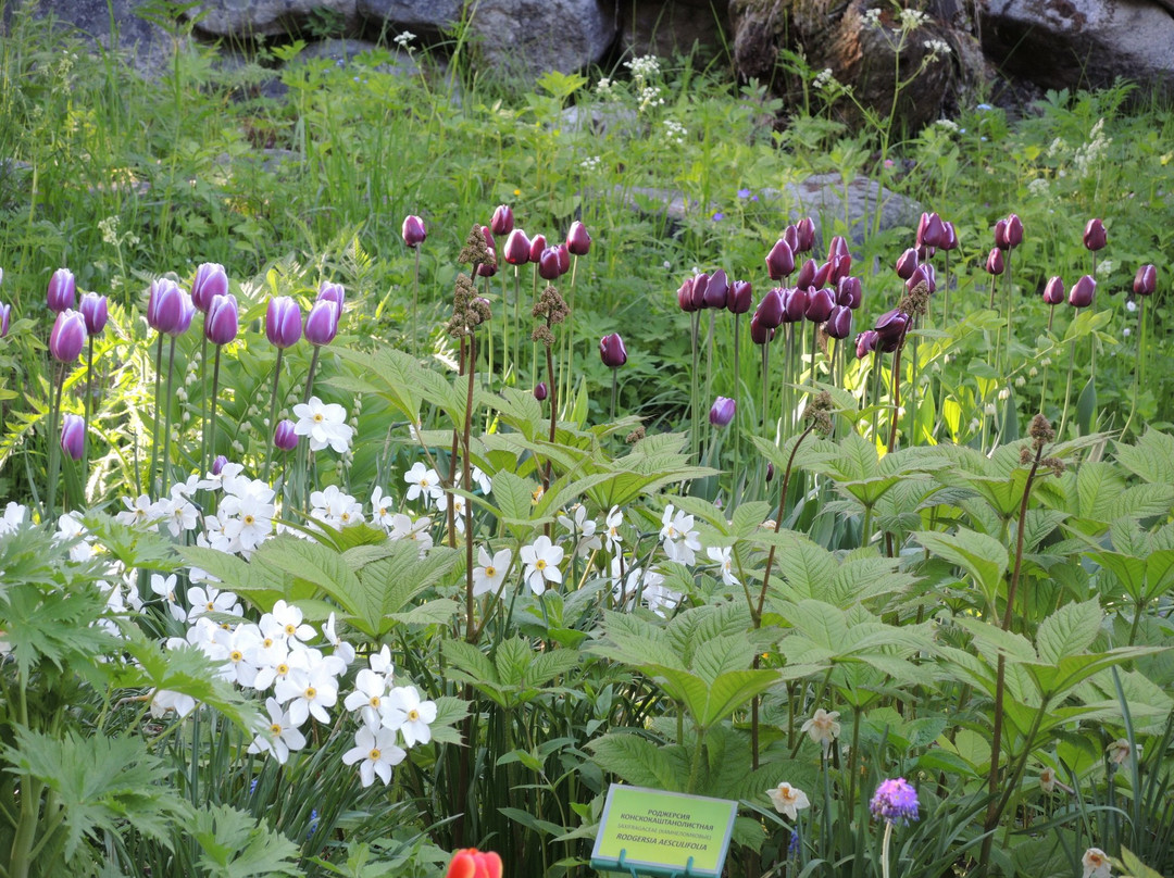 Botanical Garden of Solovetsky Museum-Preserve景点图片