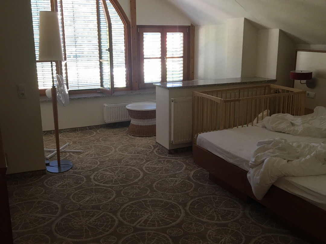 Boutique Hotel Erla主图