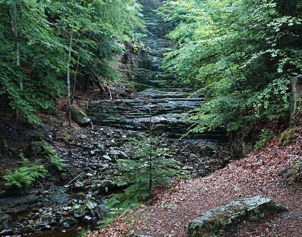 Ekopark Halle- och Hunneberg-Vargon必去景点