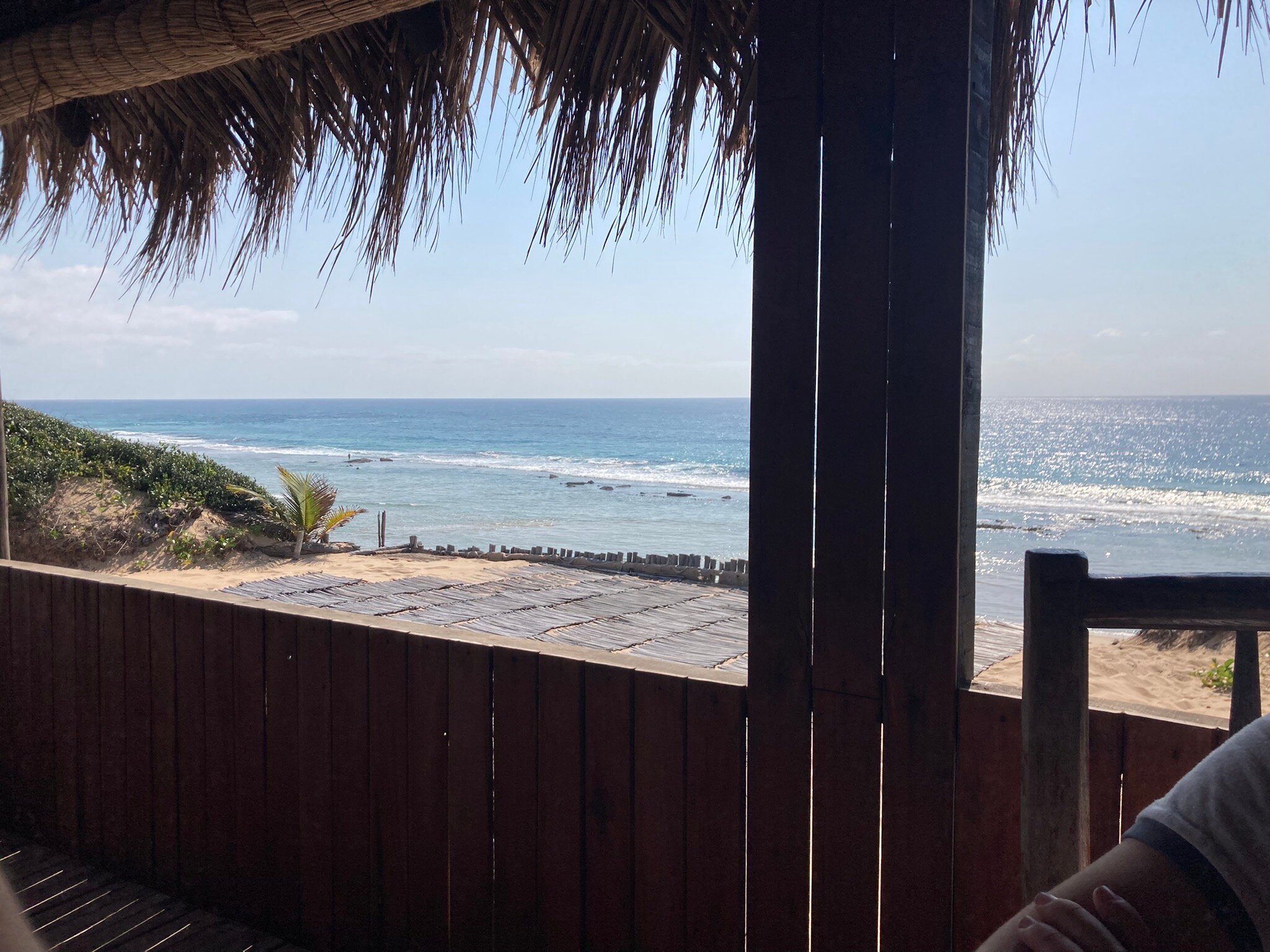 Mango Beach Lodge-官方