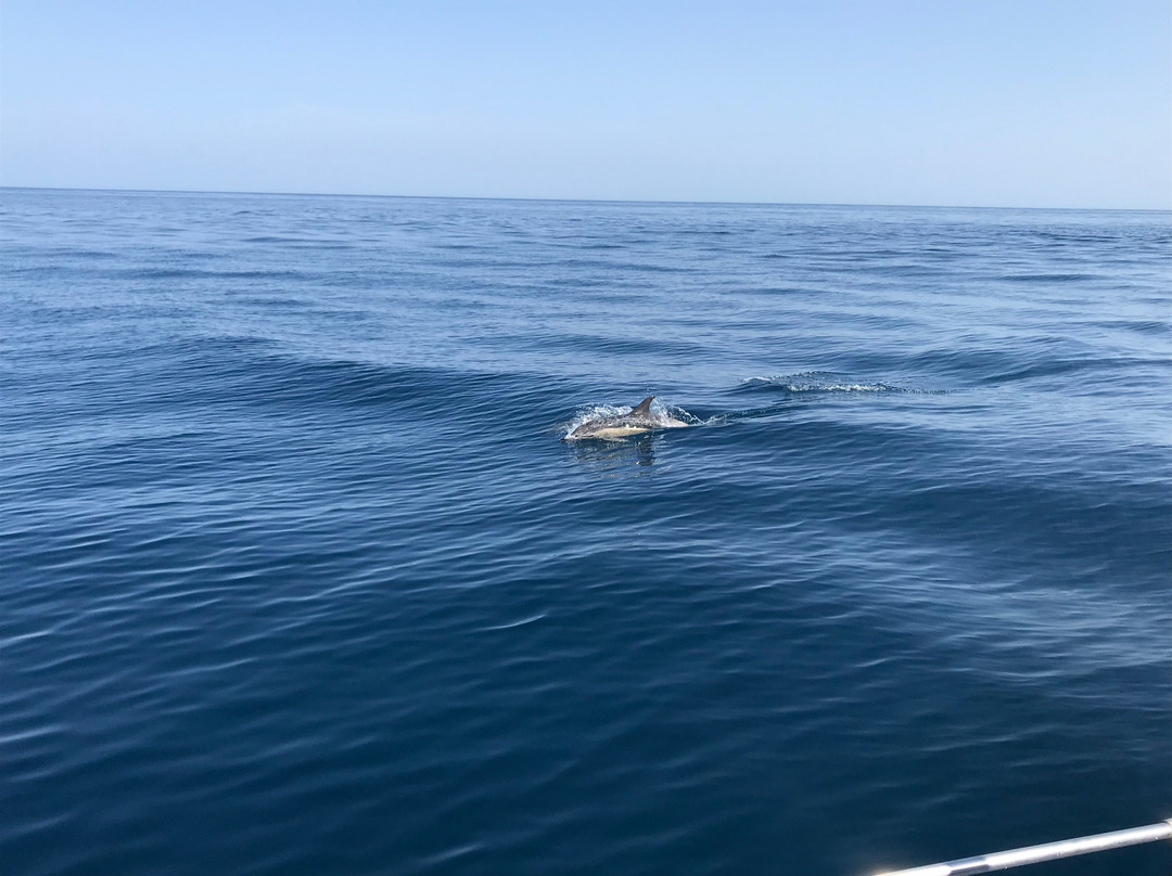 Norton Charters-马尼尔瓦必去景点