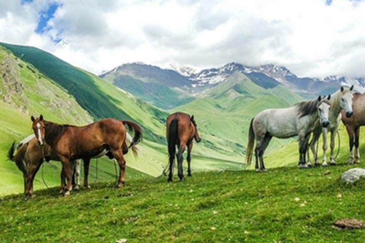 Horse Riding Tour in Kazbegi-Stepantsminda必去景点