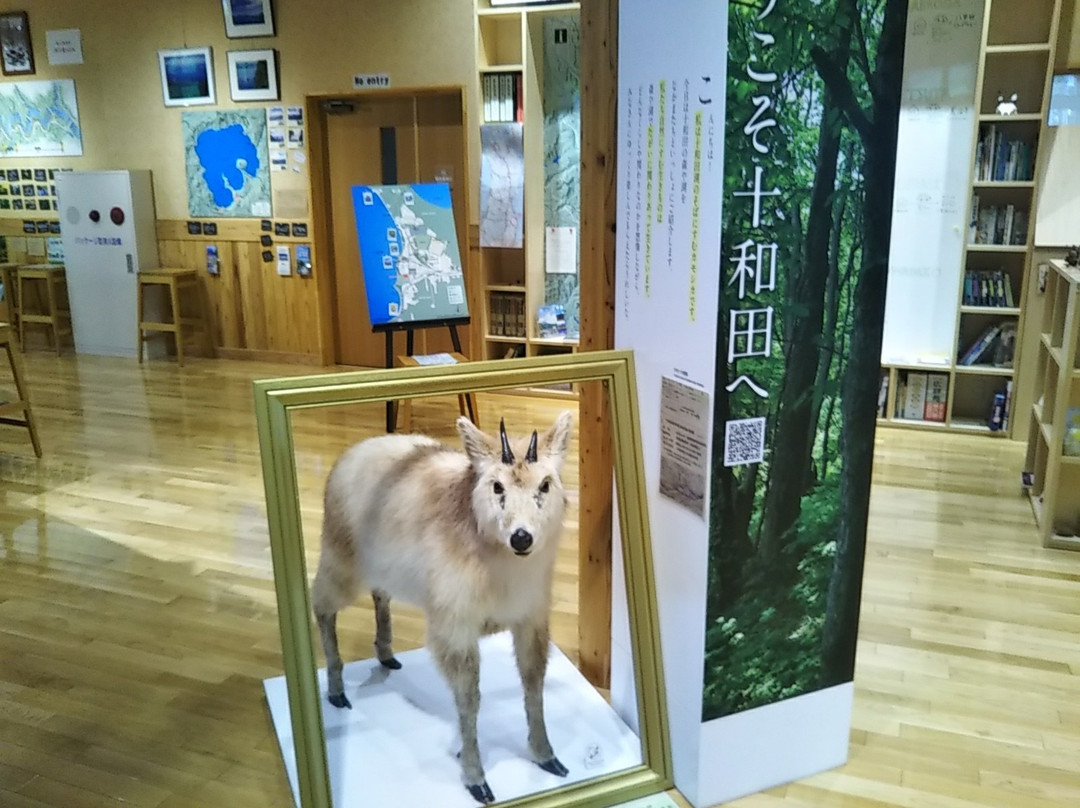 Towada Visitor Center-十和田市必去景点