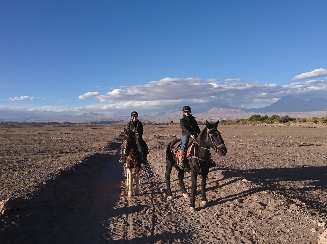 Atacama Horse Adventure景点图片