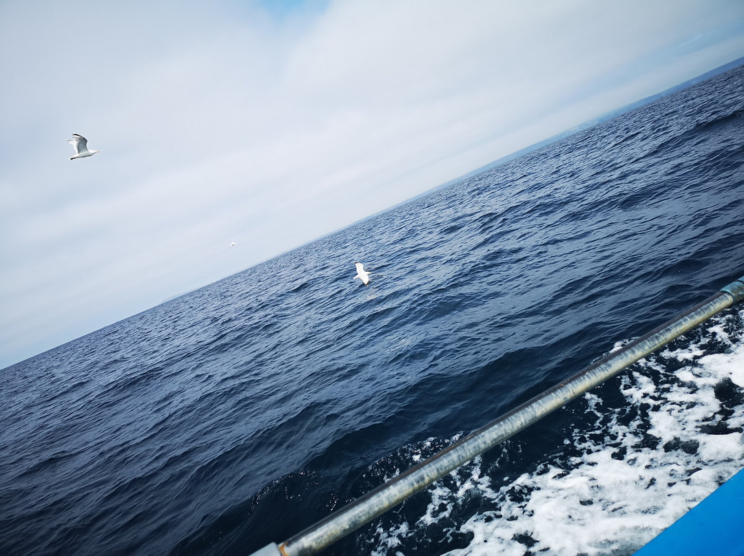 Bootlegger Boat Trips-纽奎必去景点