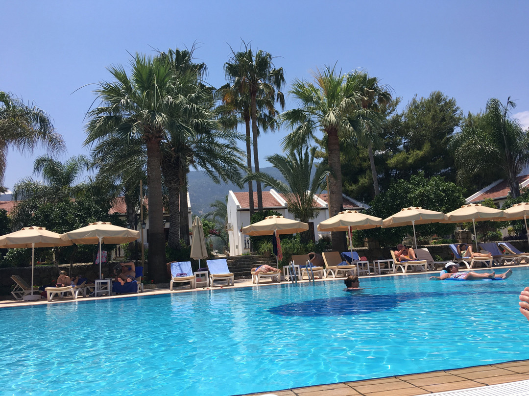 Almond Holiday Village主图