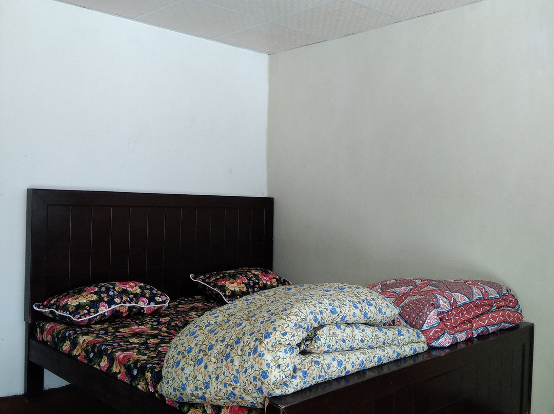 Mehmaan Resort主图