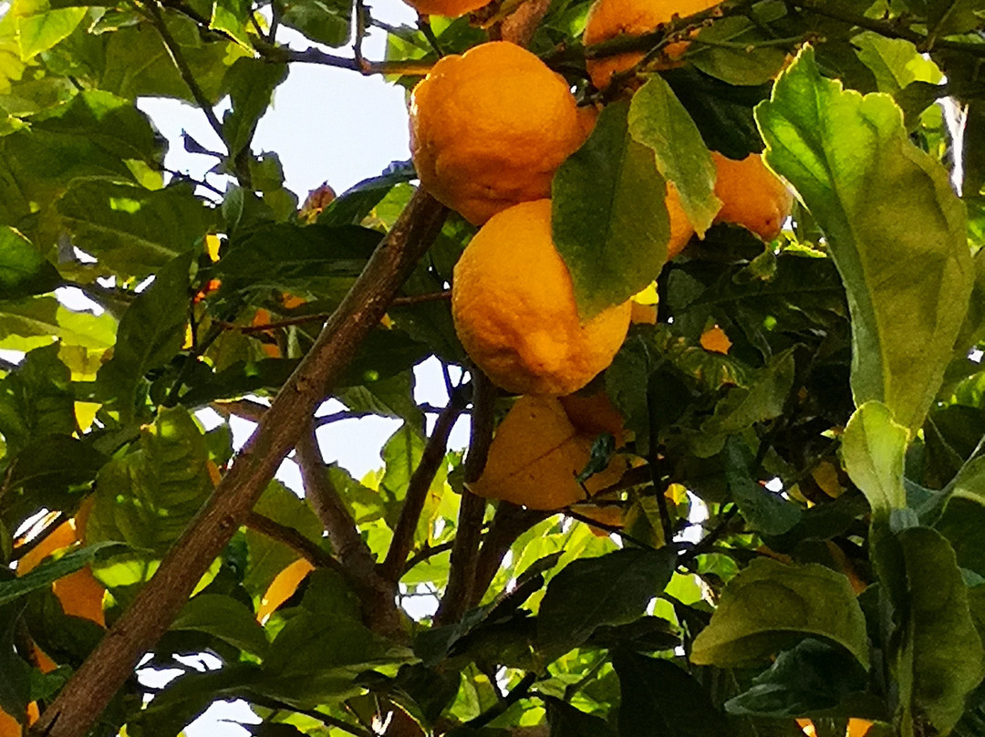 North Point Rooms 1953主图