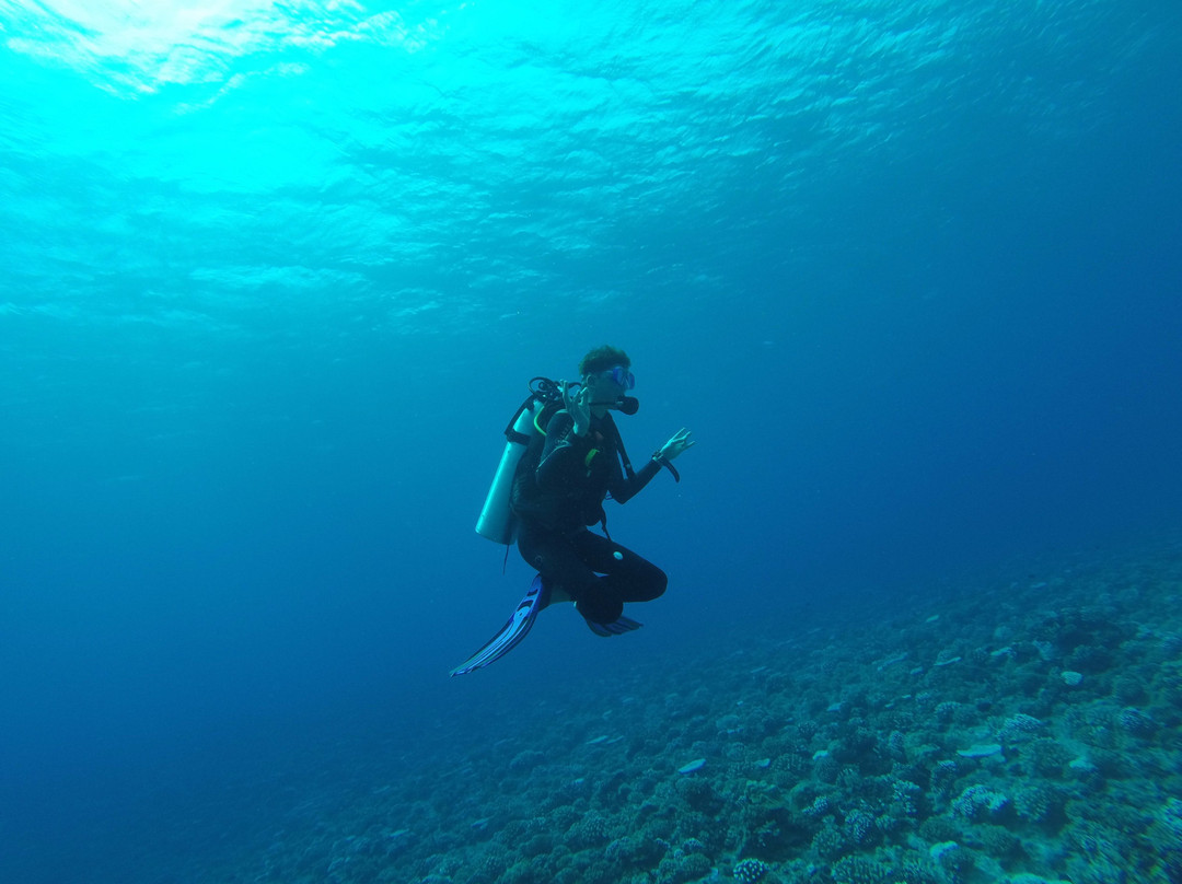 Bora Diving Center - by Eleuthera景点图片