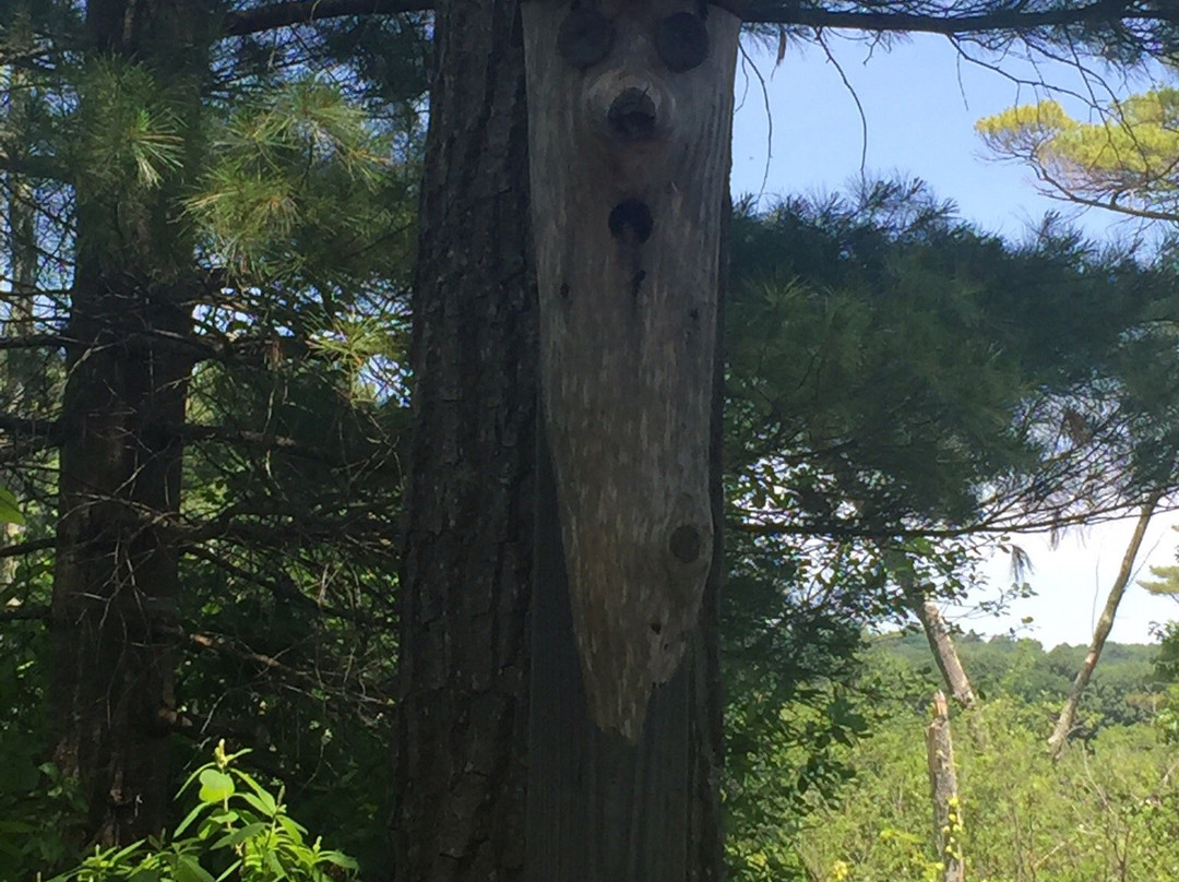 Danvers Wenham Swampwalk-Wenham必去景点