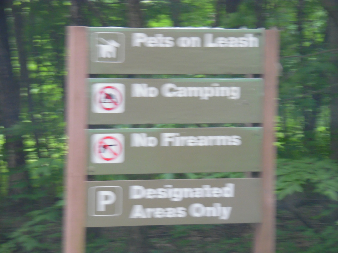 Profile Falls-Bristol必去景点