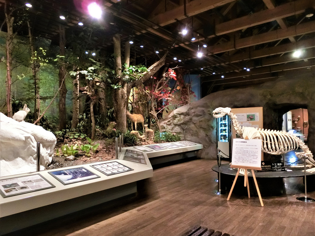 Otaru City General Museum Ungakan景点图片