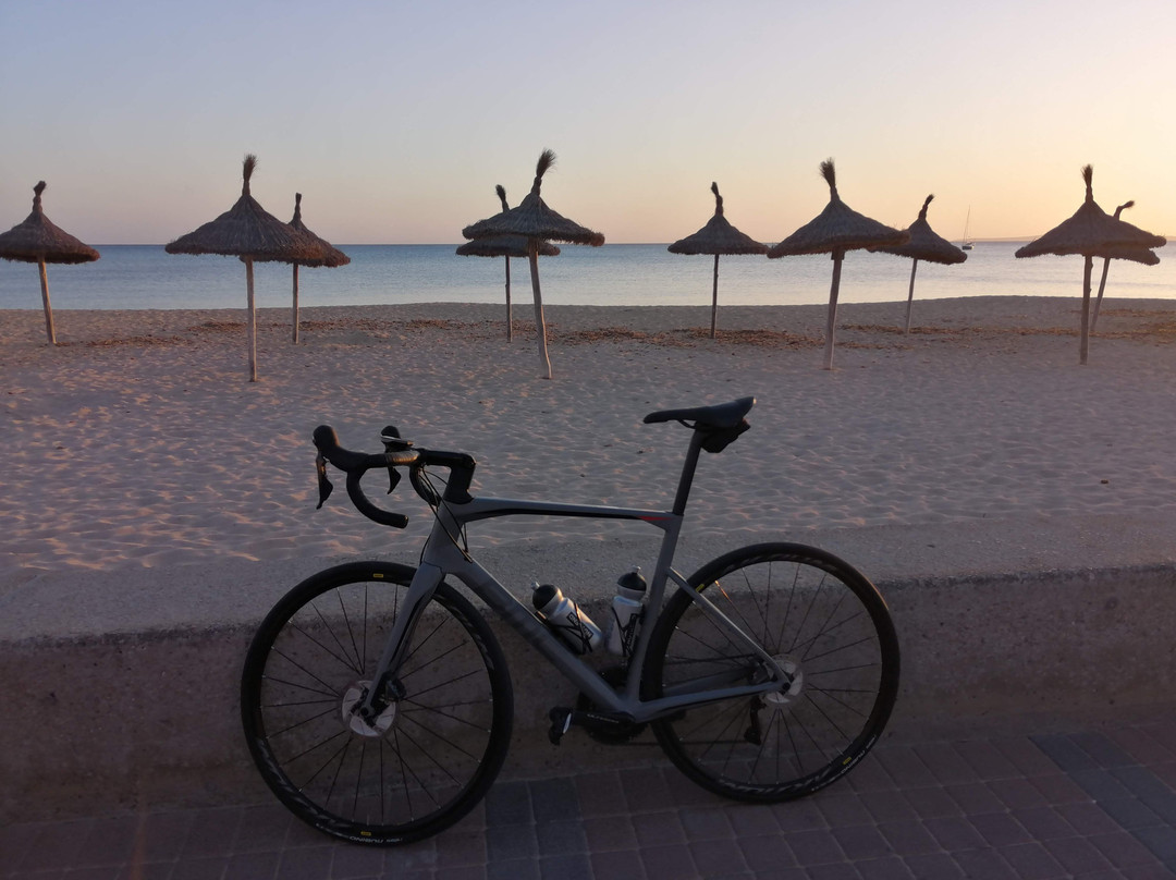 Mallorca Cycling Center-帕尔马海滩必去景点