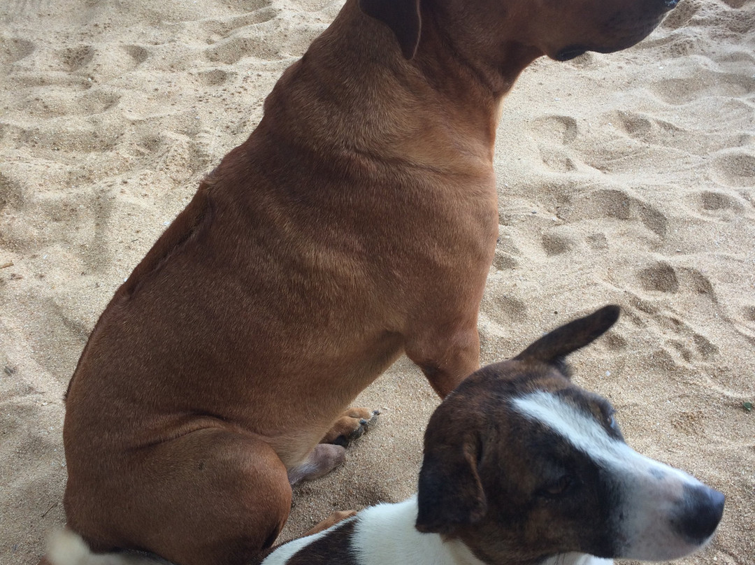 Cinnabar Resort主图