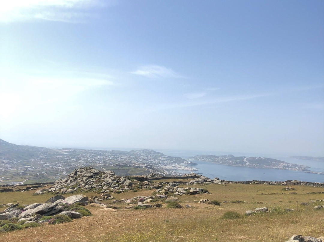 BikeCenterMykonos景点图片