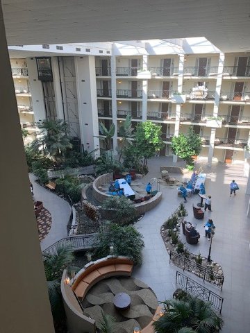 萨默塞特皮斯卡塔韦希尔顿合博套房酒店-酒店景观