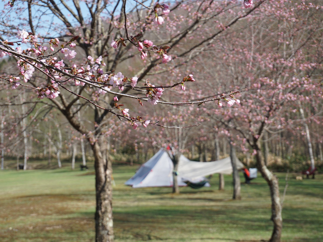 Lake Sahoro-新得町必去景点