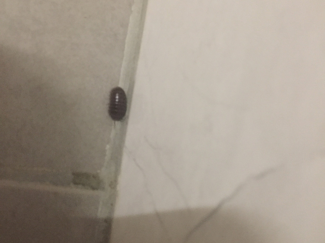 Klio Apart Hotel主图