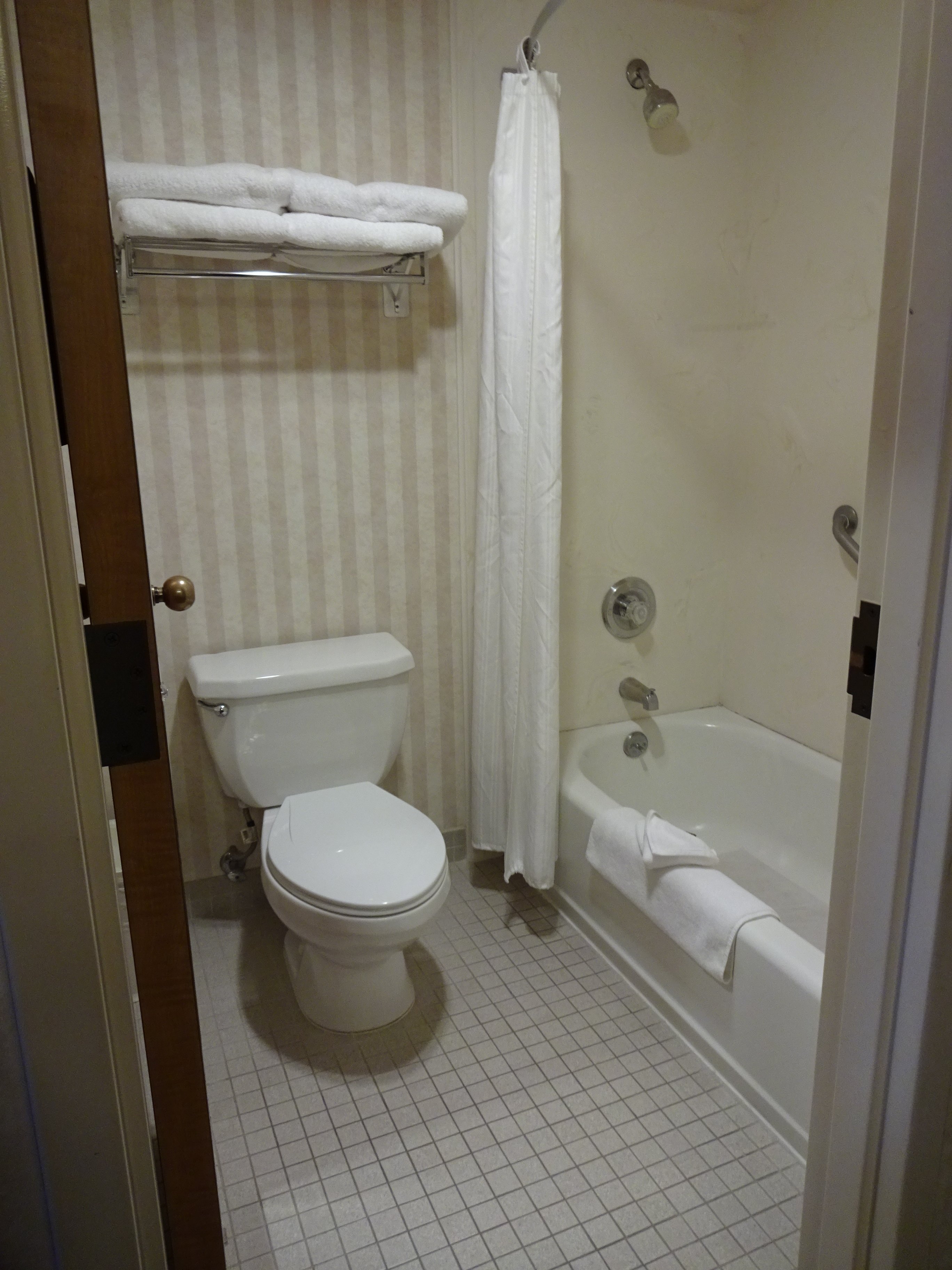 Best Western Plus Twin Falls Hotel-浴室