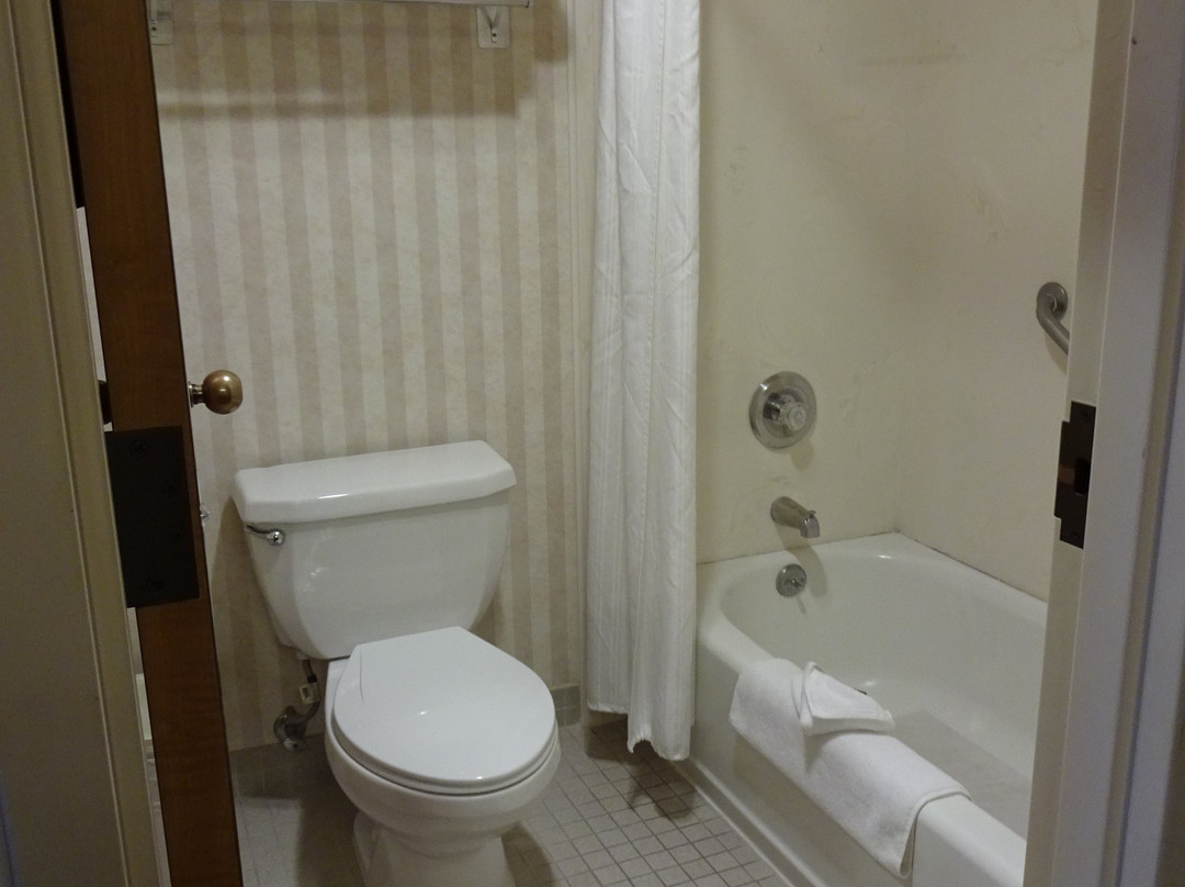 Best Western Plus Twin Falls Hotel主图