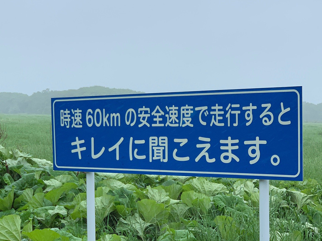 旋律道路-标津町必去景点