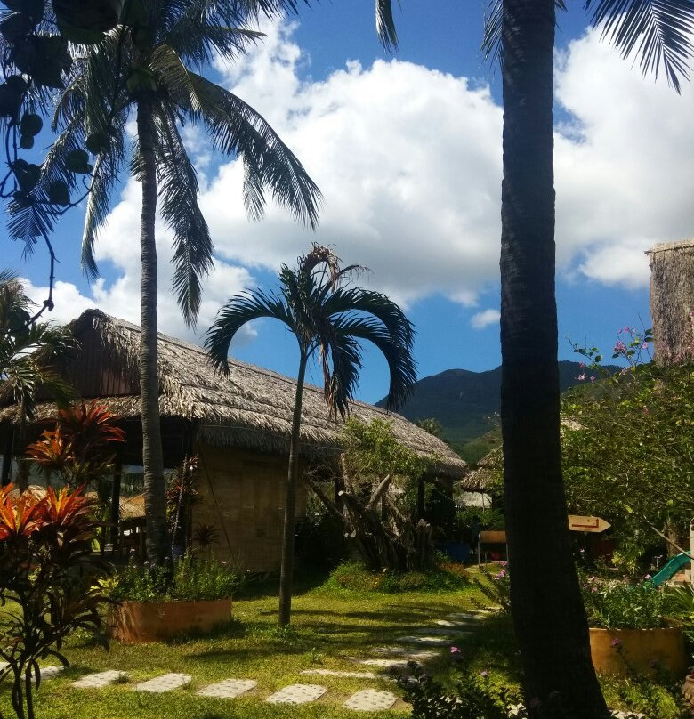 Jungle Beach VietNam主图