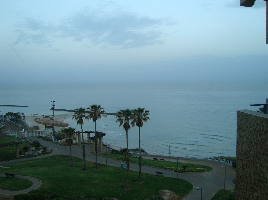 涅坦亚公园酒店