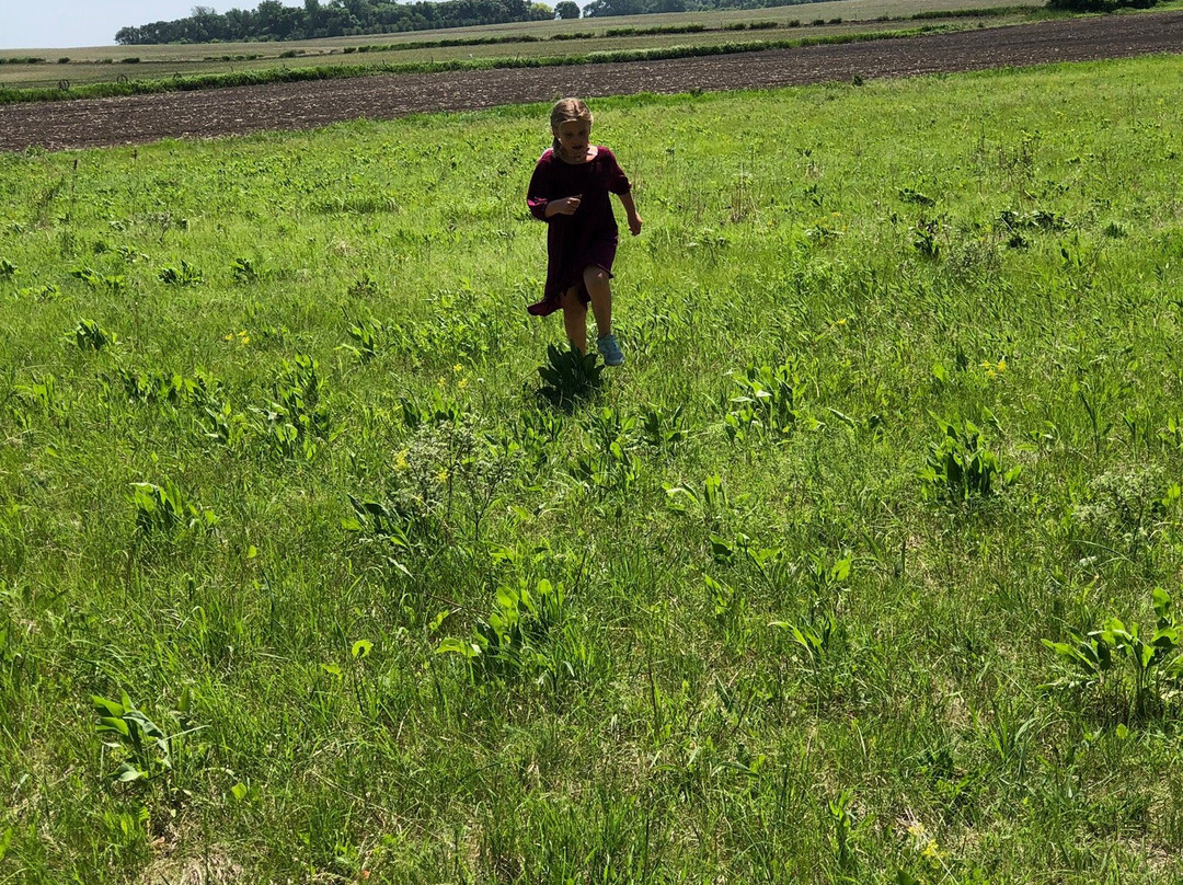 Ingalls' Homestead-Walnut Grove必去景点