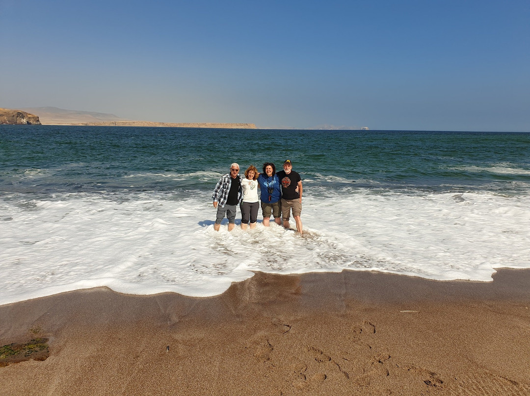 Paracas National Reserve景点图片