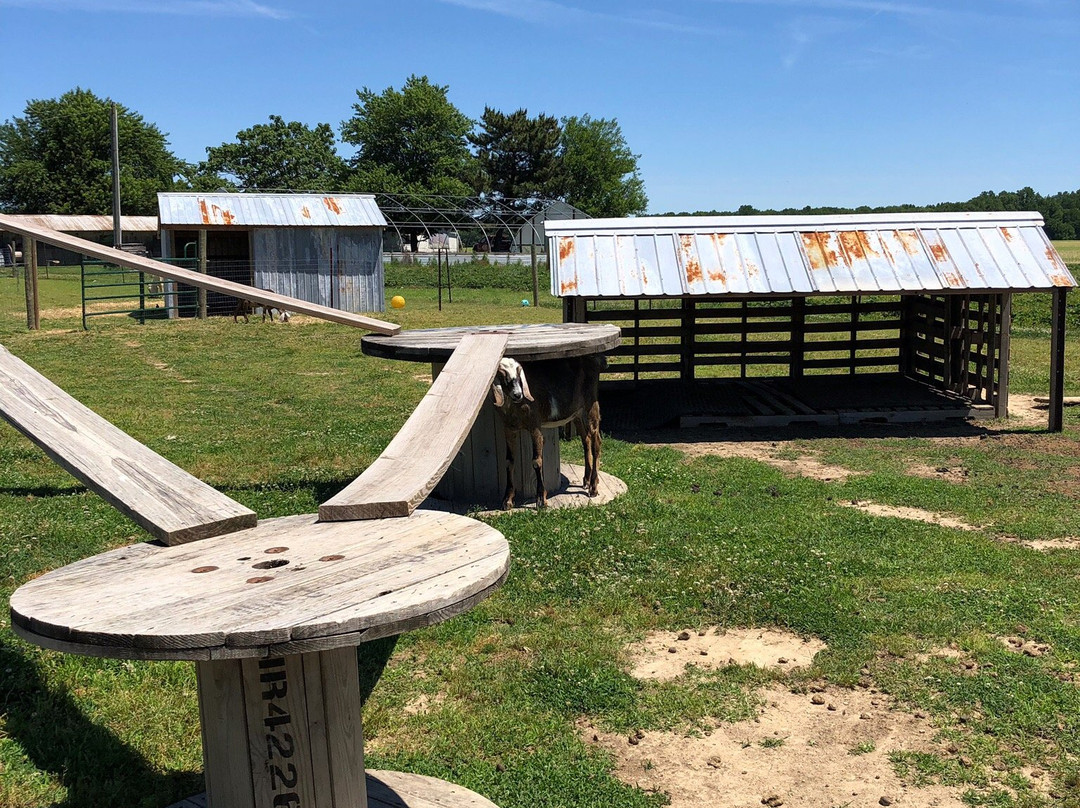 T.S. Smith & Sons-Bridgeville必去景点