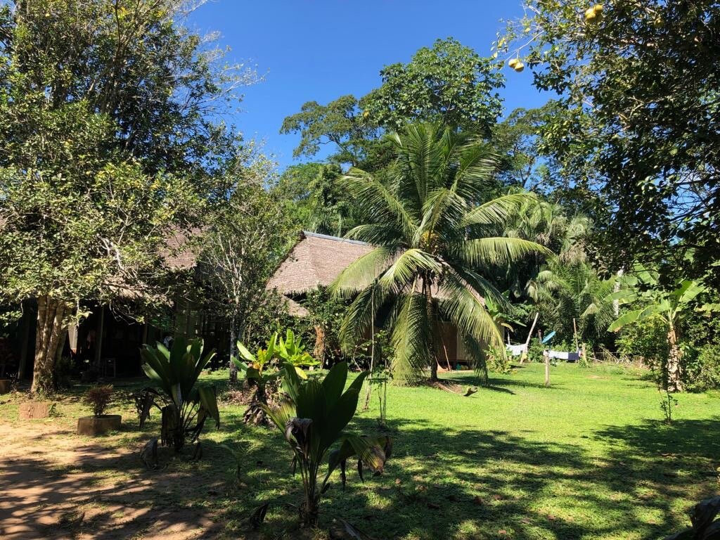 JunglePro-马尔多纳多港必去景点