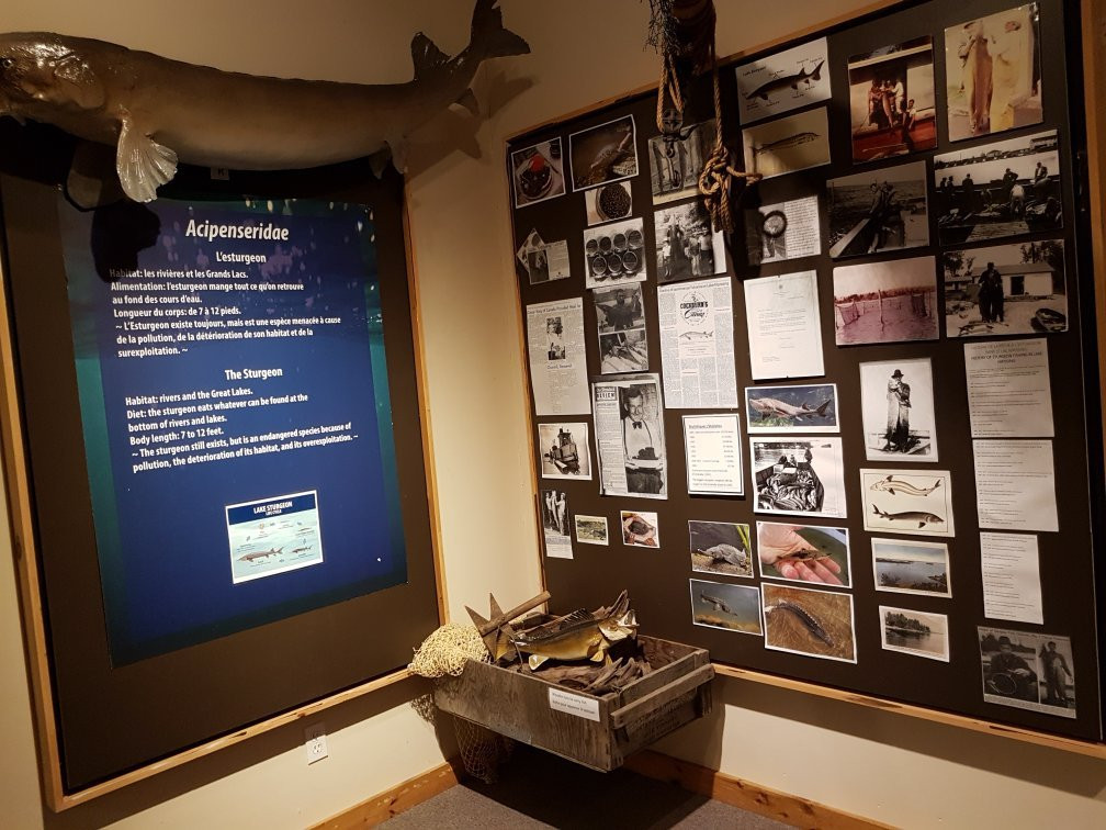 Sturgeon River House Museum景点图片