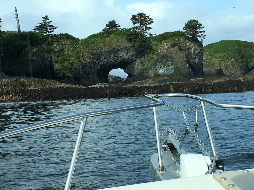 A Whale's Song Expeditions-锡特卡必去景点