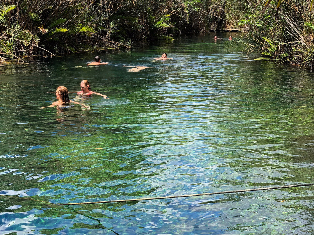 Cenote Crystal景点图片