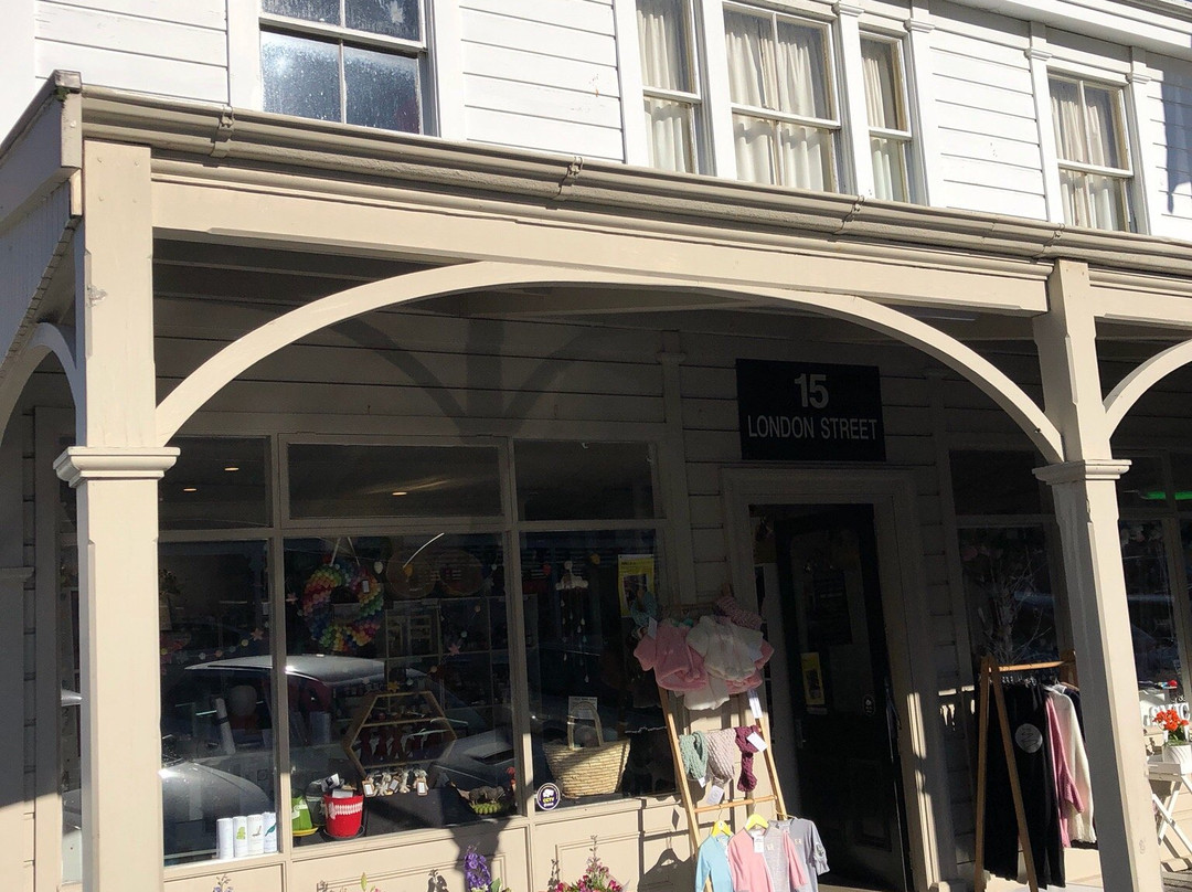The Lyttel Kiwi Gift Shop景点图片