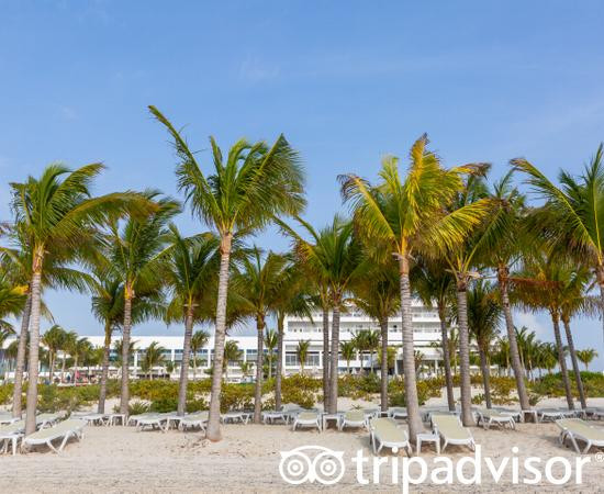 女人海滩悦宜湾奢享酒店主图