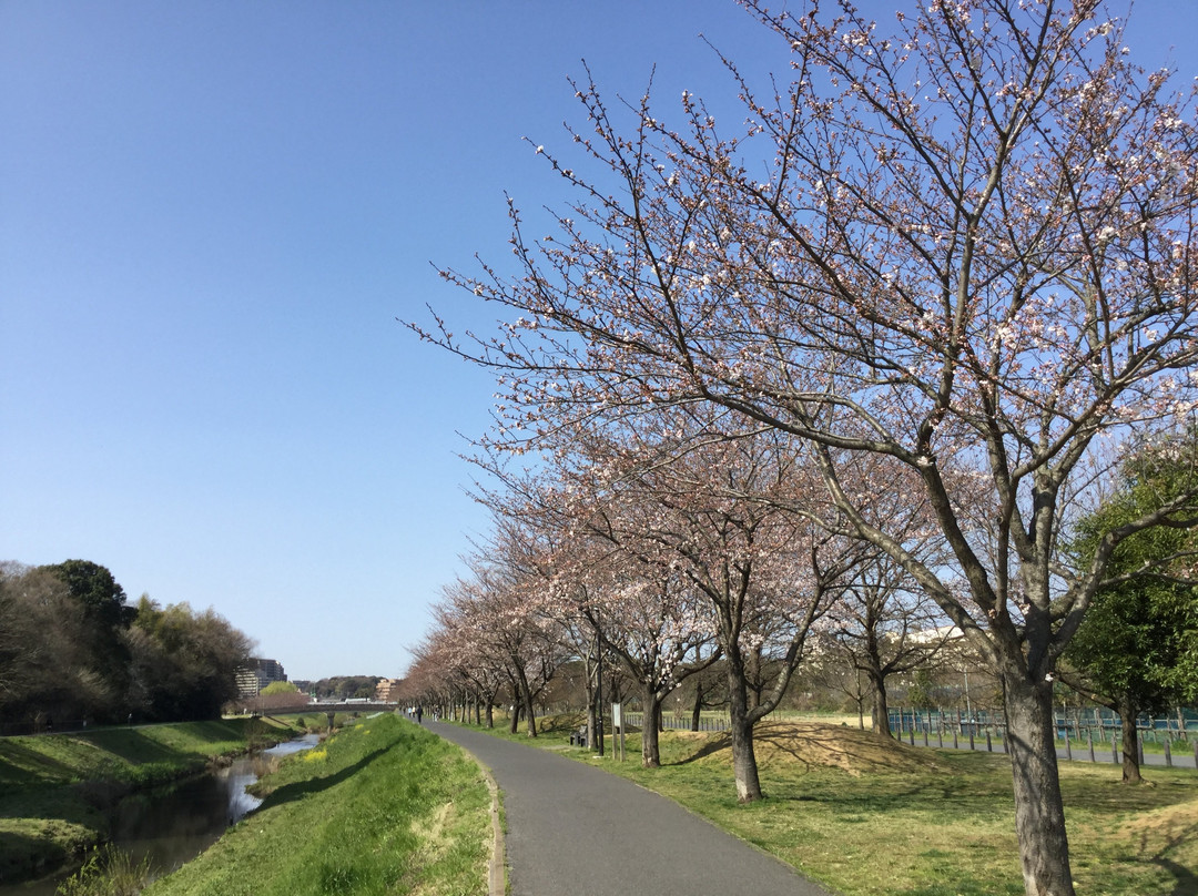 Daihorikawa Riverside Park景点图片