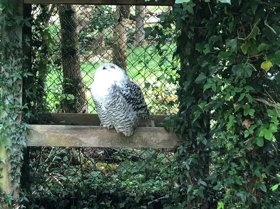 Stonehall Visitor Farm & Wildlife Park景点图片