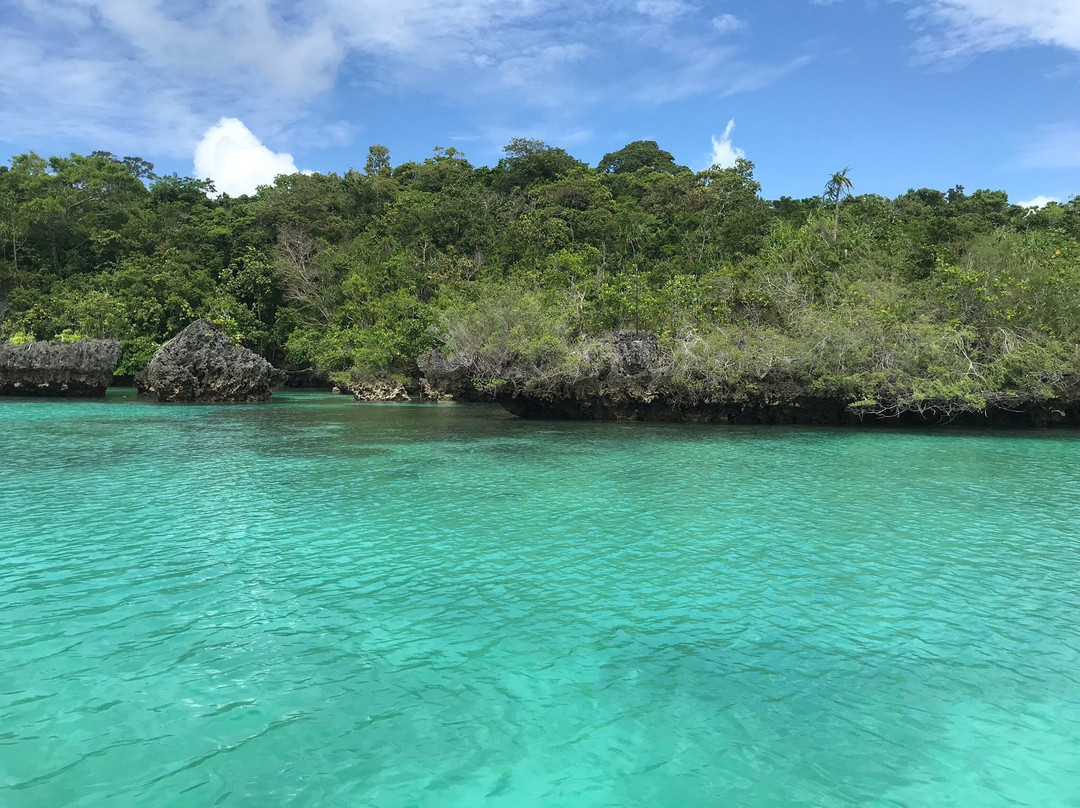 Bair Island景点图片